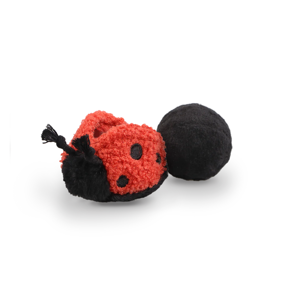 Lady Bug POP