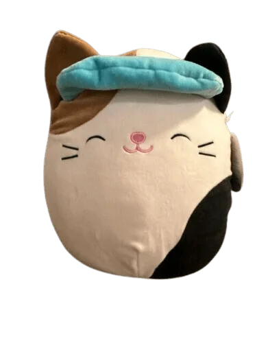 Original Squishmallow Cam the Cat w/visor 8in