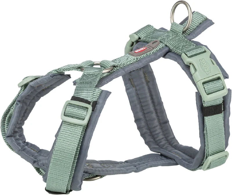 Premium trekking harness, L: 70–85 cm/25 mm, sage/graphite