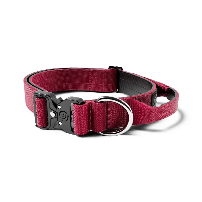 4cm Combat® Collar | Handle & Rated Clip - Burgundy