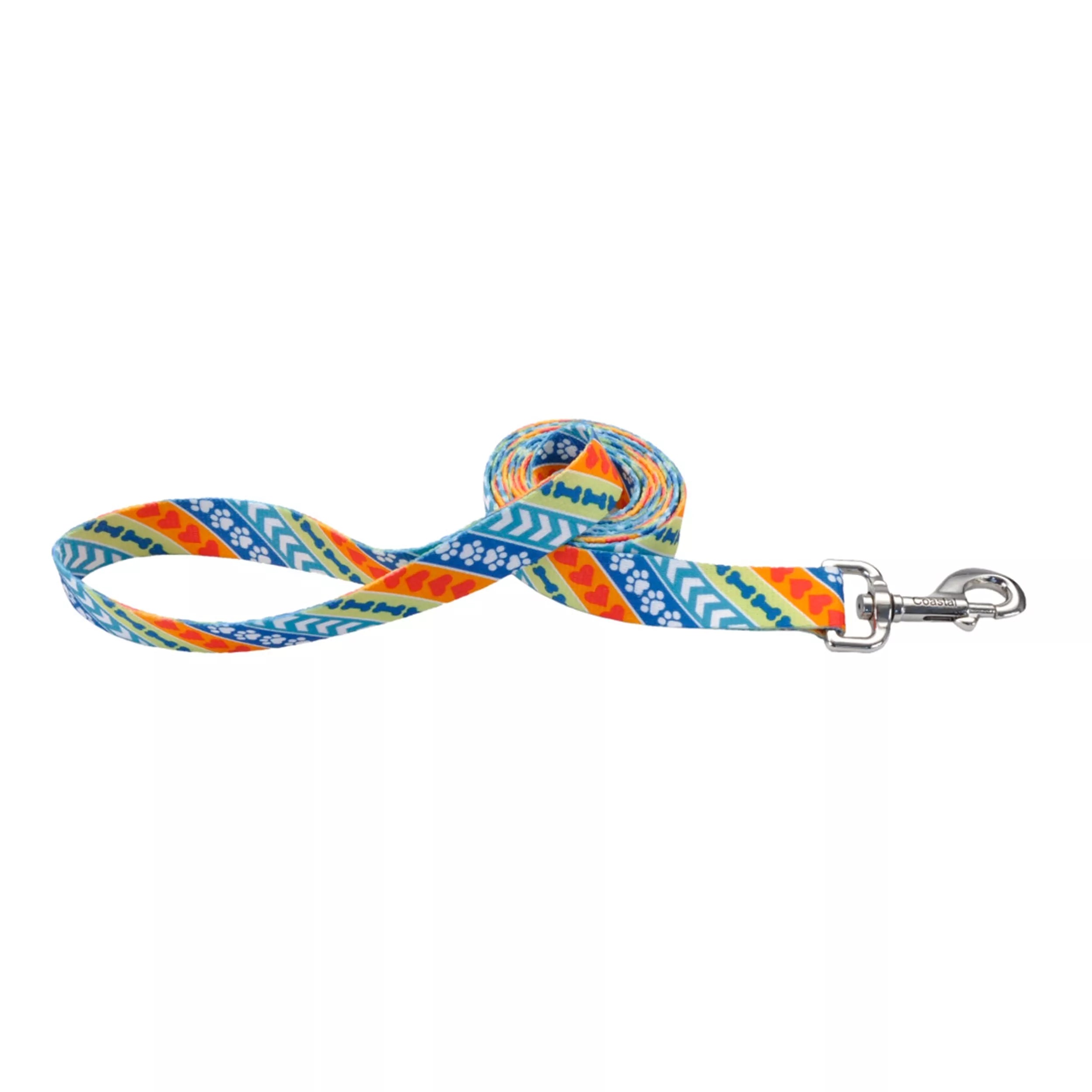 Leader dogs for the Blind Style 6ft Dog Leashes