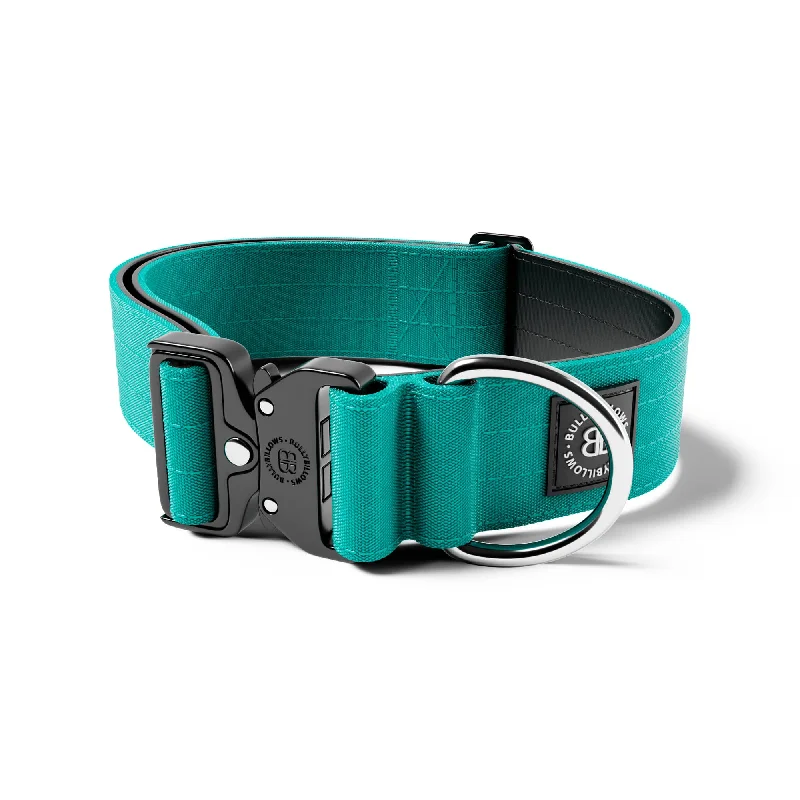 5cm Combat® Collar | NO Handle & Secure Clip - Turquoise