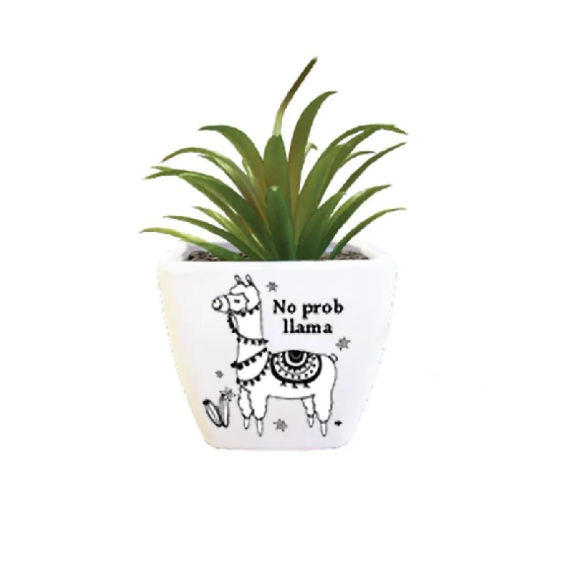 H & H Gifts : Sentiment Succulent - No prob, Llama