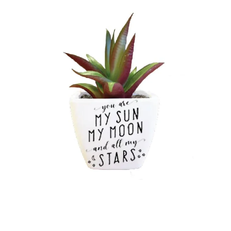 H & H Gifts :  Sentiment Succulent - You Are My Sun My Moon and My Stars