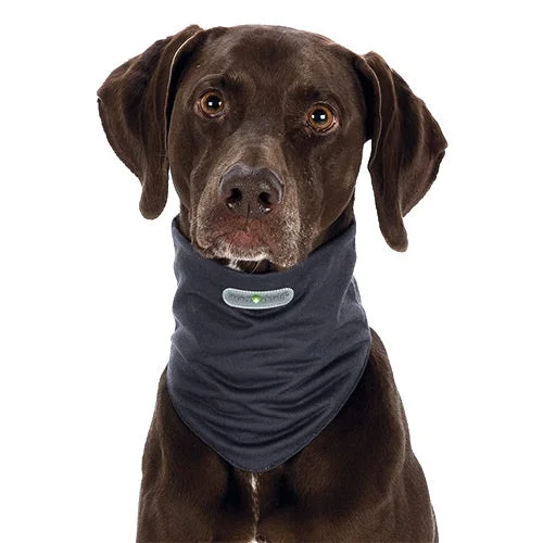 Trixie Insect Shield Dog Bandana